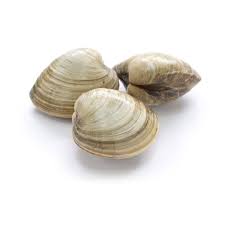 Cherry Stone Clam - 樱桃石蛤蜊 2.8-3 lbs