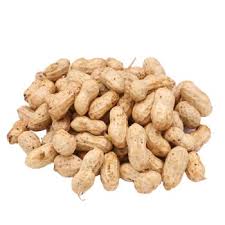 FRESH PEANUTS - 新鮮花生1.8-2LB