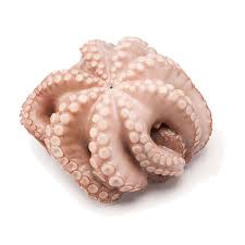 Octopus 2-2.4 lbs - 章鱼