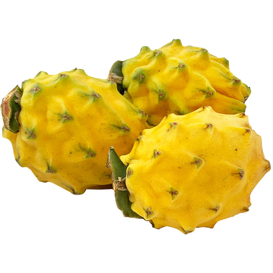 黃火龍果 - 麒麟果 - GOLDEN DRAGON FRUIT 0.75 - 0.95lb