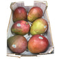 KENT MANGO 6 PCS - 苹果 芒果 1盒 （6个装）