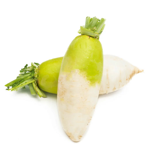 KOREAN LO BOK RADISH 韩国萝卜  2.6-3.0LB