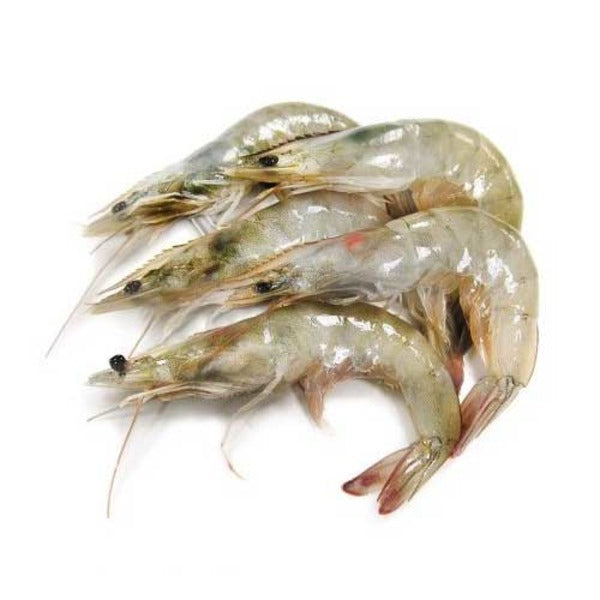 Shrimp Head On 30/40 - 有頭蝦30/40 1.3-1.5 lbs