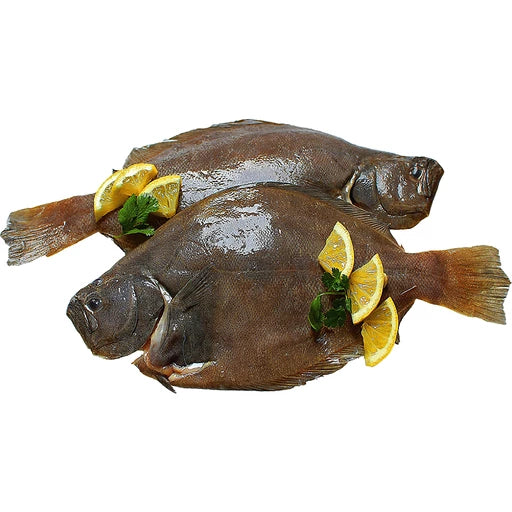 Rex Sole - 龍利魚1.8-2lb