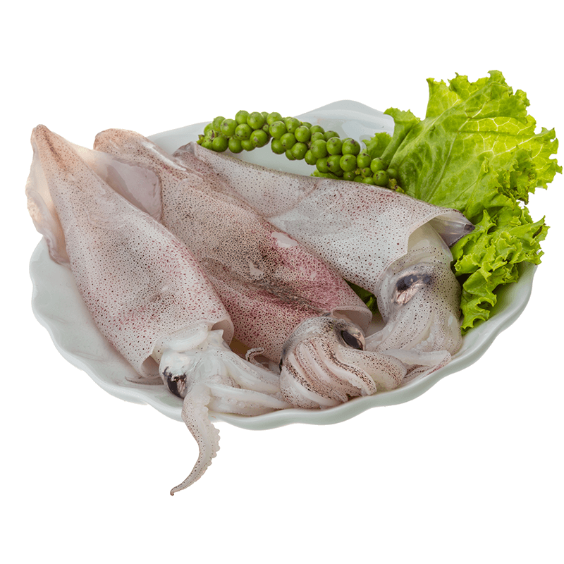 Fresh Squid - 新鲜鱿鱼 1.8-2 lbs